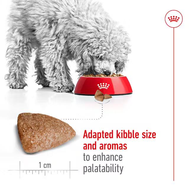Alimento Royal Canin Mini Indoor para Perro Adulto Raza Pequeña