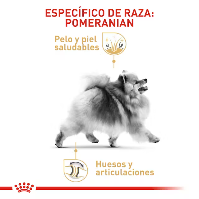 Alimento Royal Canin Pomeranian para Perro Adulto
