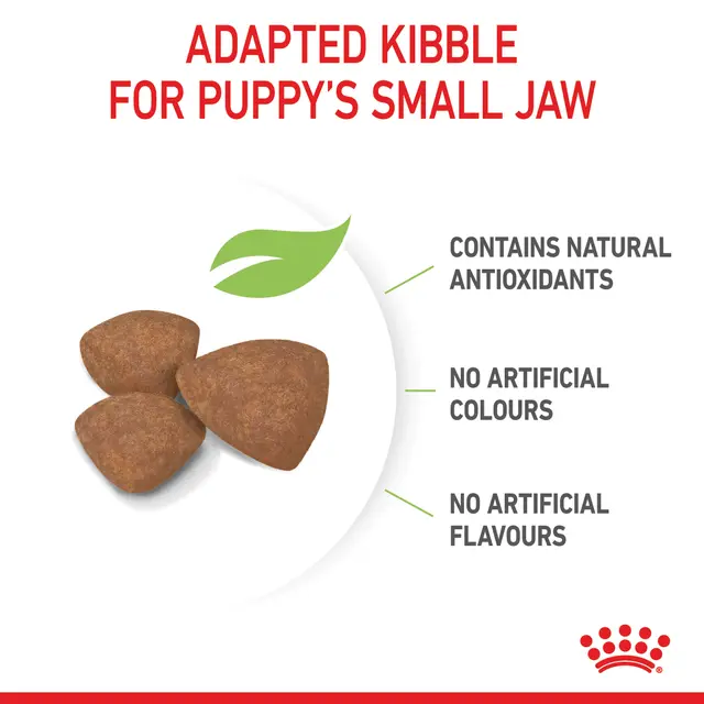 Alimento Royal Canin Puppy Mini para Perro Cachorro Miniatura