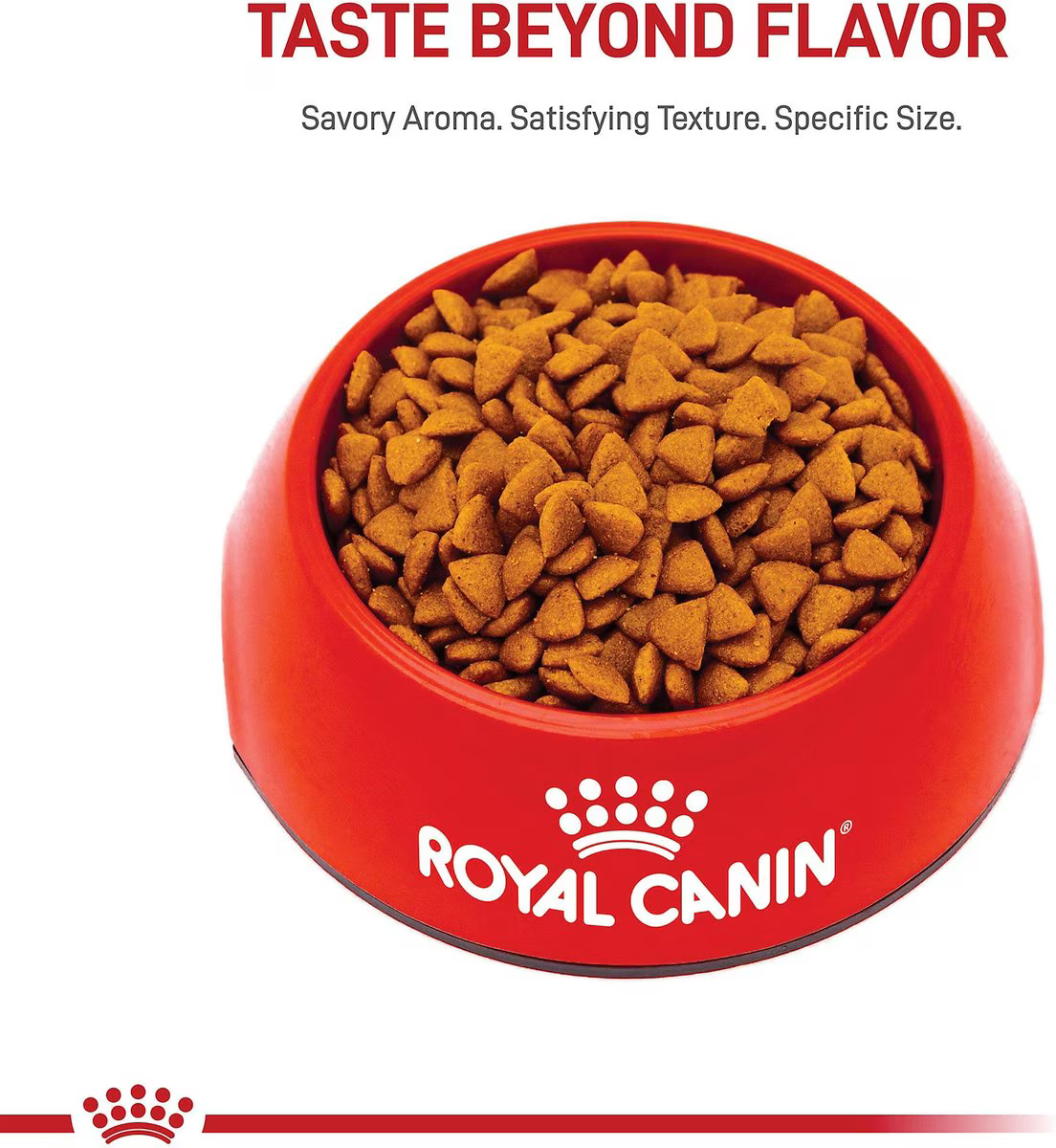 Alimento Royal Canin Puppy Mini para Perro Cachorro Miniatura