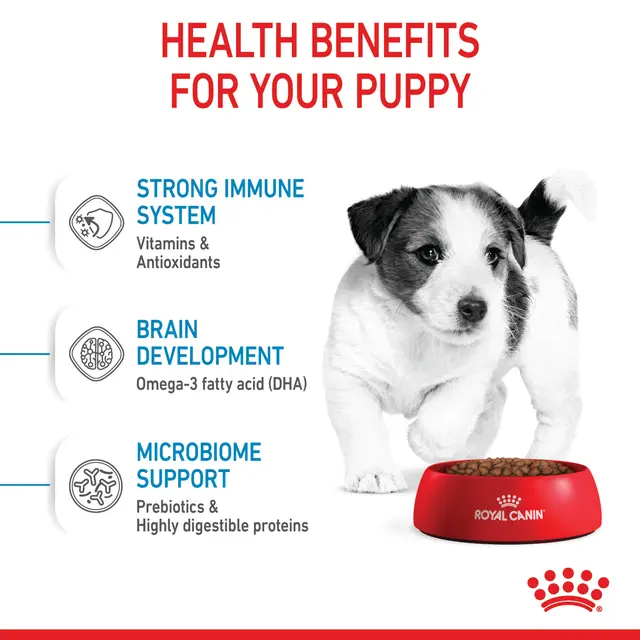 Alimento Royal Canin Puppy Mini para Perro Cachorro Miniatura