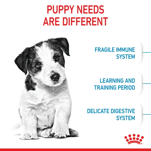 Alimento Royal Canin Puppy Mini para Perro Cachorro Miniatura