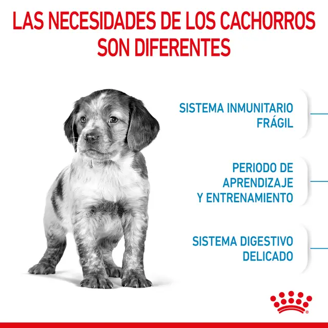 Alimento Royal Canin Puppy Medium para Perro Mediano Cachorro