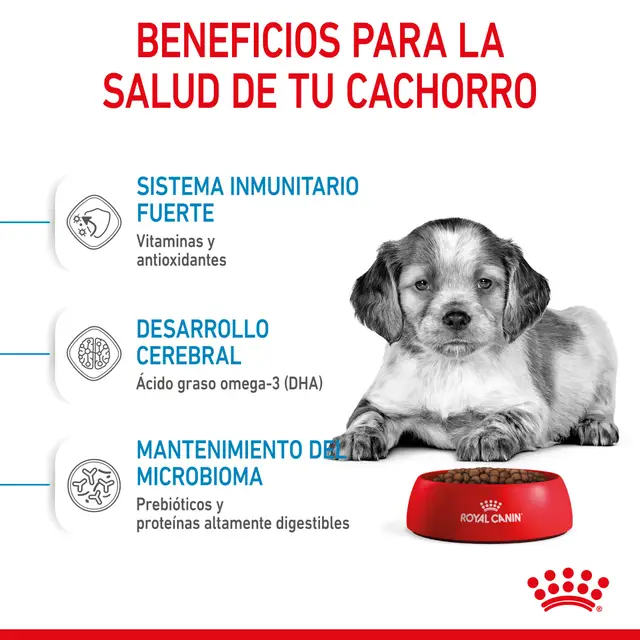Alimento Royal Canin Puppy Medium para Perro Mediano Cachorro