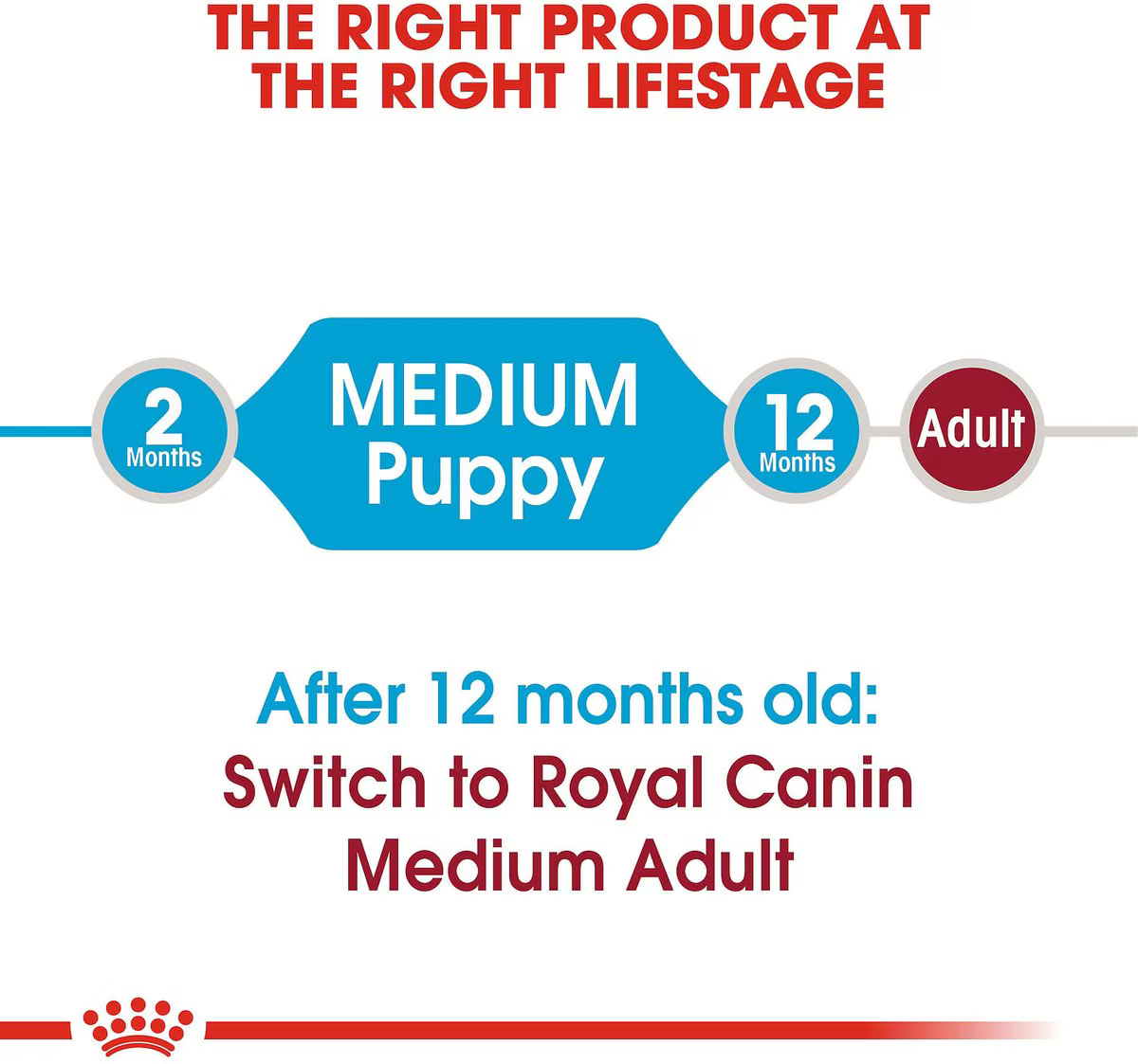 Alimento Royal Canin Puppy Medium para Perro Mediano Cachorro