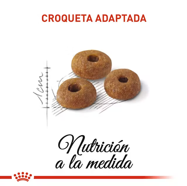 Alimento Royal Canin Regular Fit para Gato Adulto