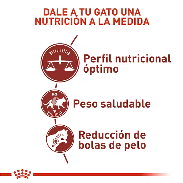 Alimento Royal Canin Regular Fit para Gato Adulto