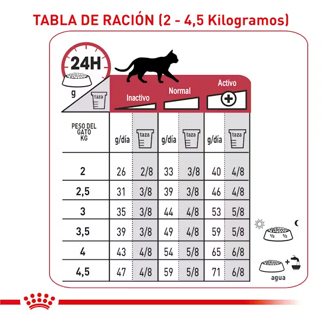 Alimento Royal Canin Regular Fit para Gato Adulto