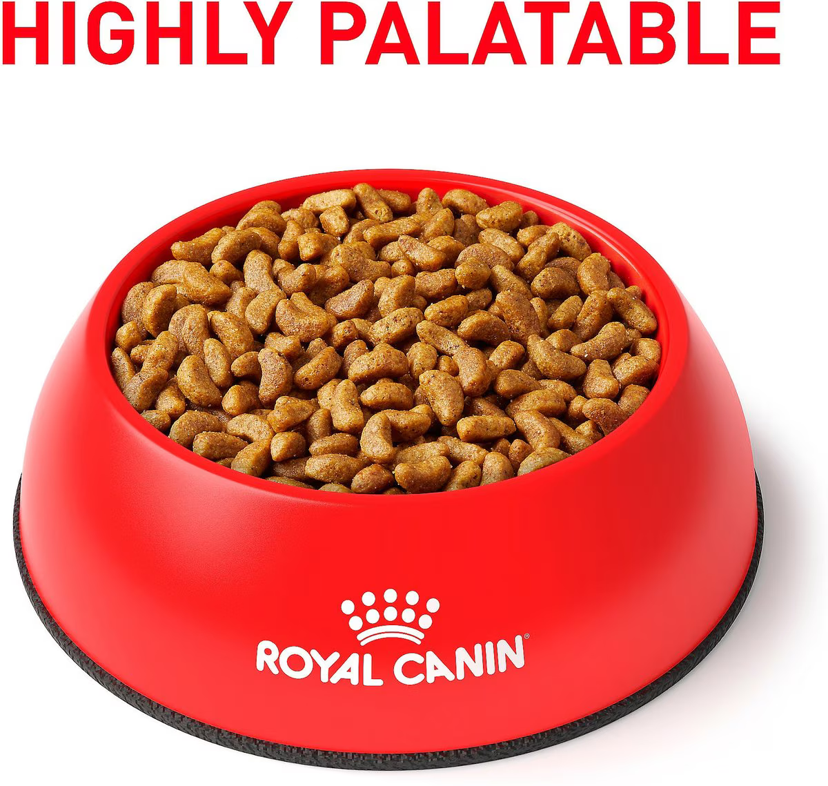 Alimento Royal Canin Soporte Renal S Perro para Perro Adulto
