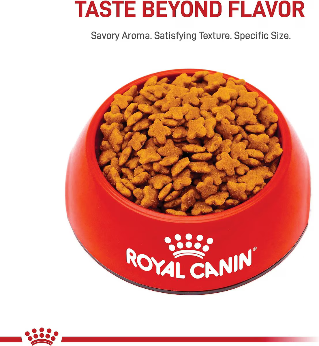 Alimento Royal Canin Mini Small Miniatura Perro Adulto Raza Pequeña