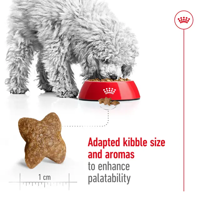 Alimento Royal Canin Mini Small Miniatura Perro Adulto Raza Pequeña