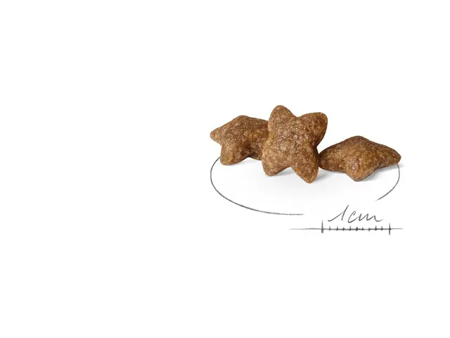 Alimento Royal Canin Mini Small Miniatura Perro Adulto Raza Pequeña