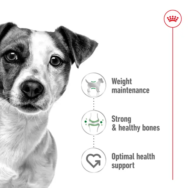 Alimento Royal Canin Mini Small Miniatura Perro Adulto Raza Pequeña
