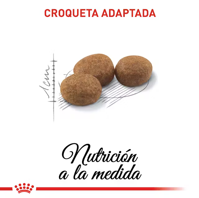 Alimento Royal Canin Sterilised para Gato Adulto Esterilizado