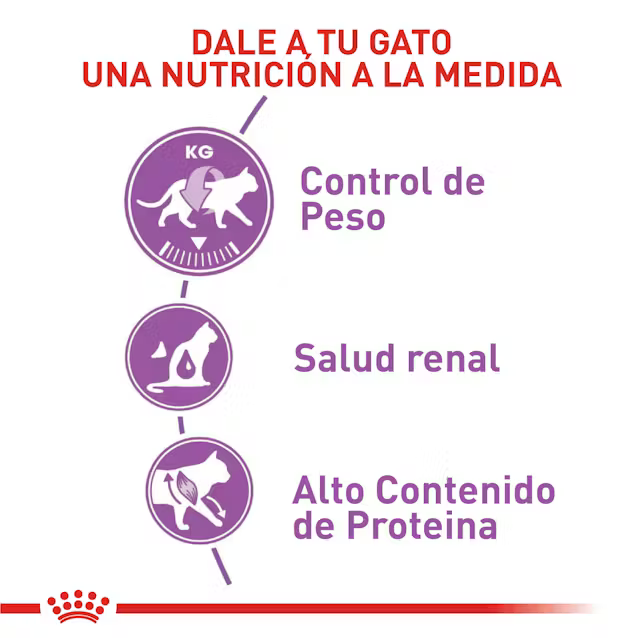 Alimento Royal Canin Sterilised para Gato Adulto Esterilizado