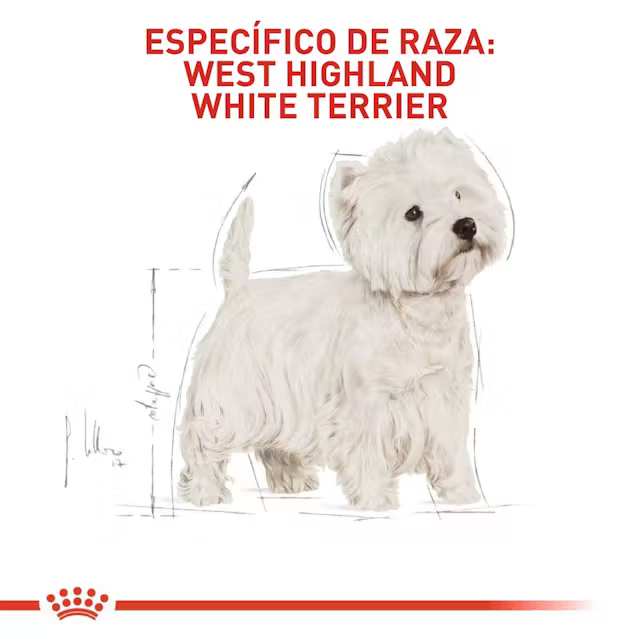 Alimento Royal Canin West Highland White Terrier Perro Adulto