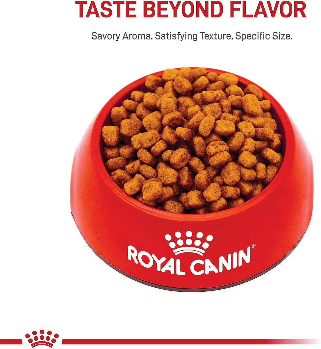 Alimento Royal Canin Yorkshire Terrier para Perro Adulto