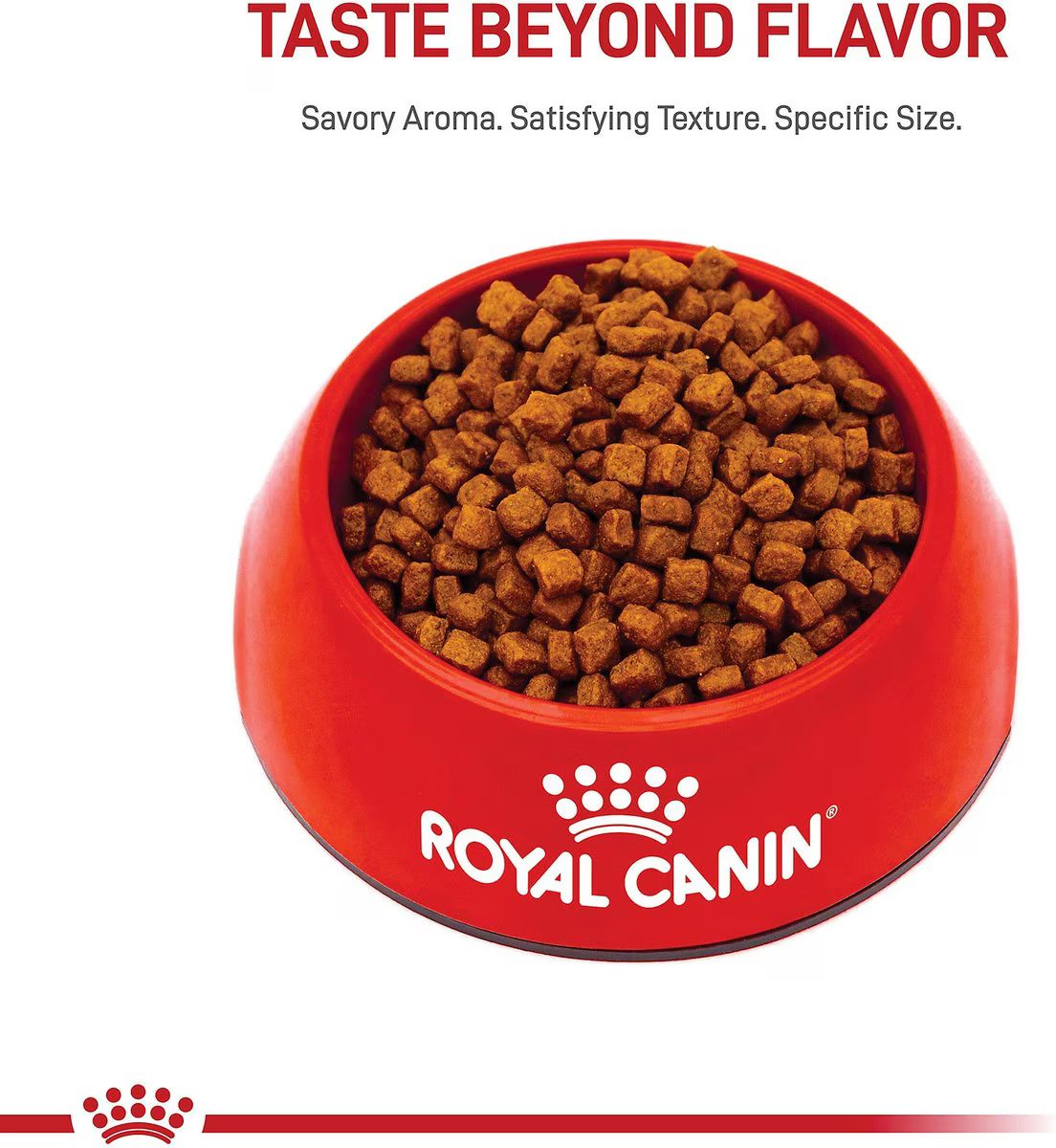 Alimento Royal Canin Yorkshire Terrier Puppy para Perro Cachorro