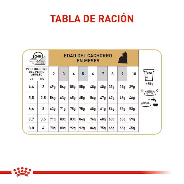 Alimento Royal Canin Yorkshire Terrier Puppy para Perro Cachorro