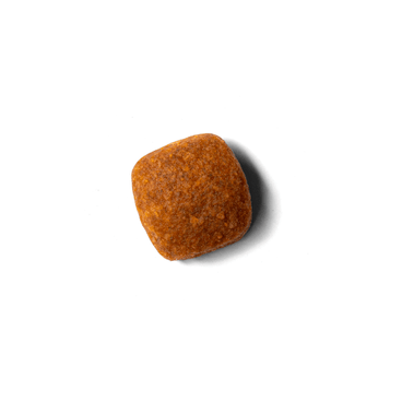 Alimento Select By Monello Digestión Equilibrada para Perros Adultos de Razas Medianas y Grandes