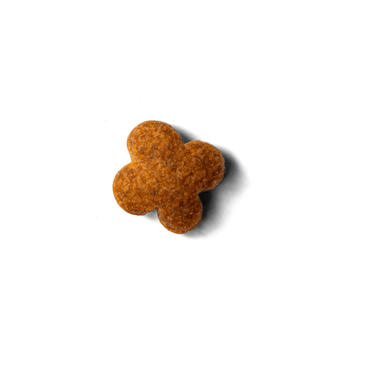 Alimento Select By Monello Castrados para Gato Adulto