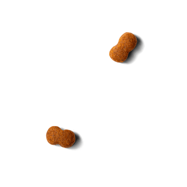 Alimento Select By Monello Longevidad para Perros Adultos Mayores Senior 7+