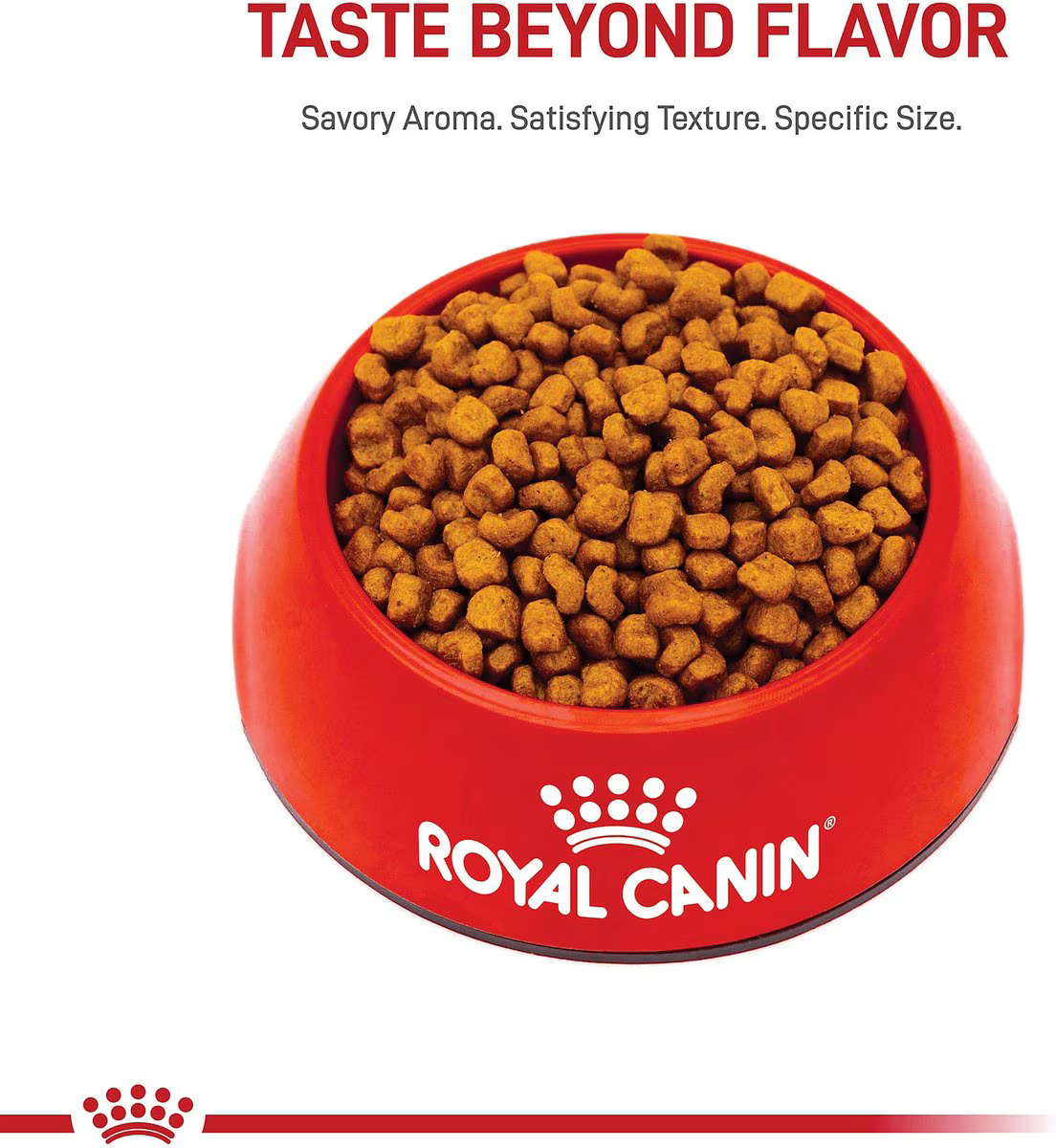 Alimento Royal Canin Shih Tzu Puppy para Perro Cachorro