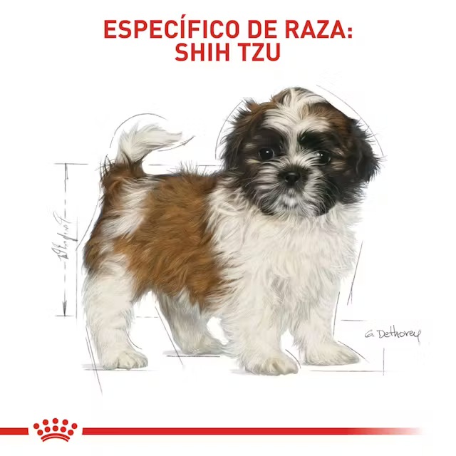 Alimento Royal Canin Shih Tzu Puppy para Perro Cachorro