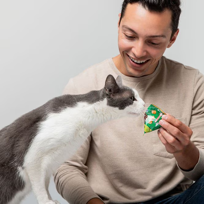 Snack Churu Fun Bites de Pollo para Gato