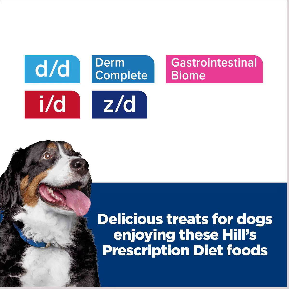Snack Galletas Hills Hypo Treats para Perros Adultos