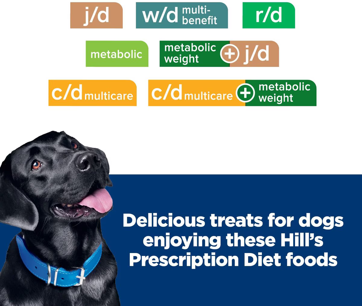Snack Galletas Hills Metabolic Treats para Perros Adultos