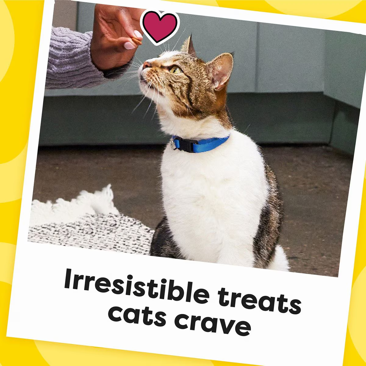 Snack Galletas Temptations Sabor a Camarón para Gato