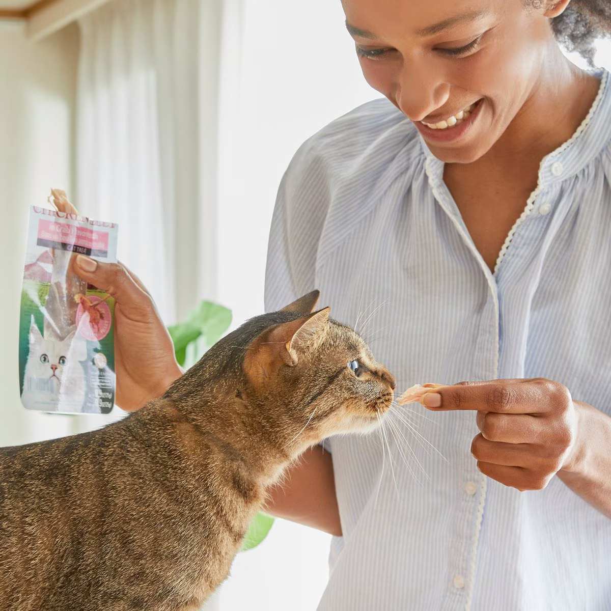 Snack Inaba Churu Filete de Atún con caldo de Atún para Gato