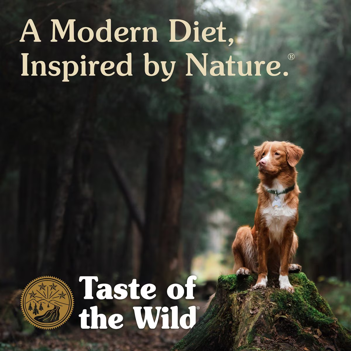 Alimento Taste of the Wild Appalachian Valley para Perro Adulto de Razas Pequeñas