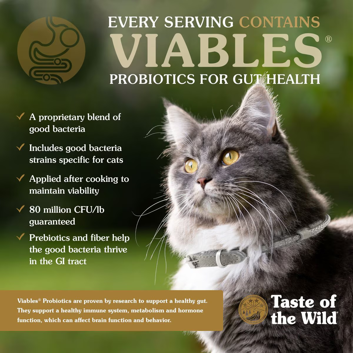 Alimento Taste of the Wild Canyon River para Gatos Adultos
