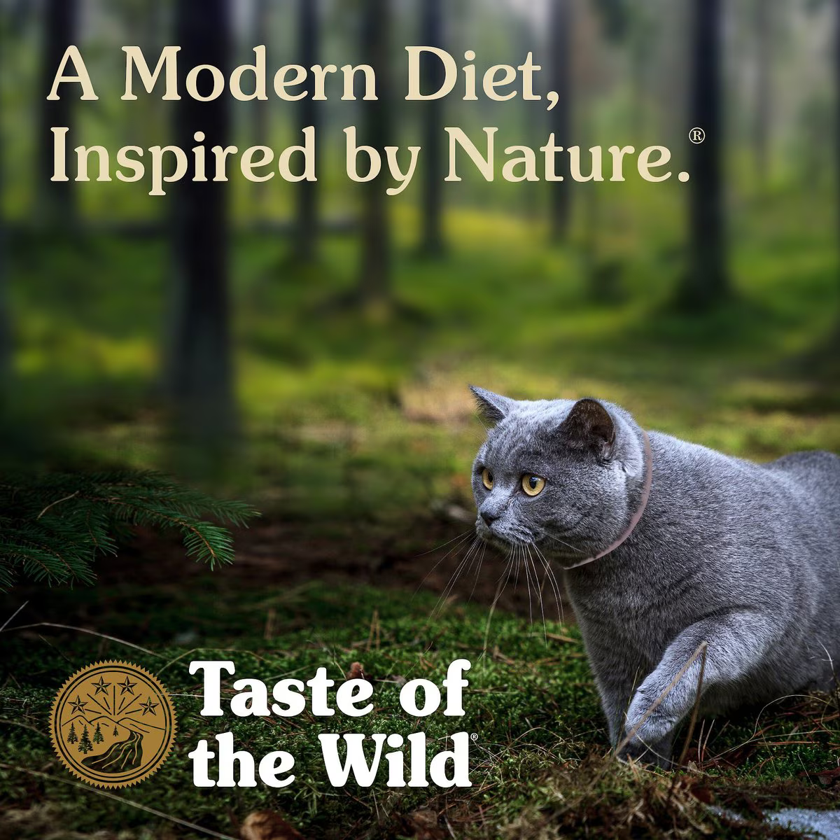 Alimento Taste of the Wild Canyon River para Gatos Adultos