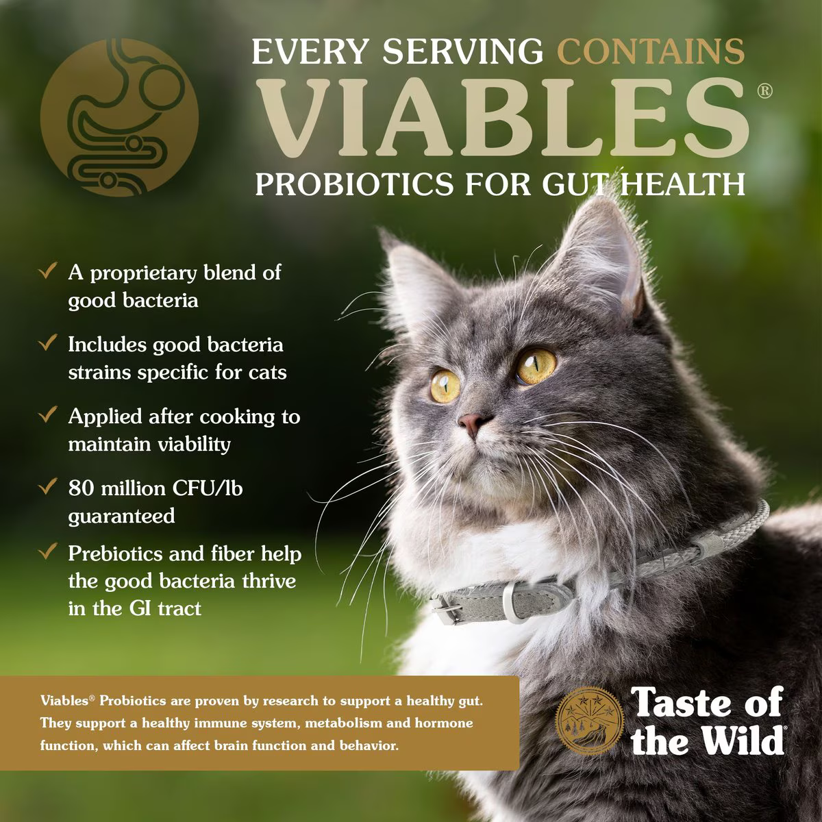 Alimento Taste of the Wild Rocky Mountain para Gatos Adultos