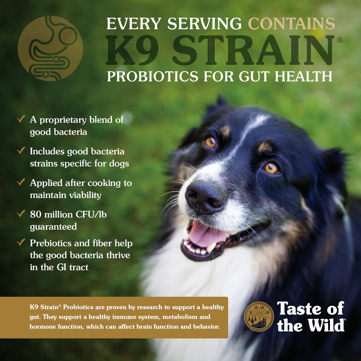 Alimento Taste of the Wild Pacific Stream para Perro Adulto