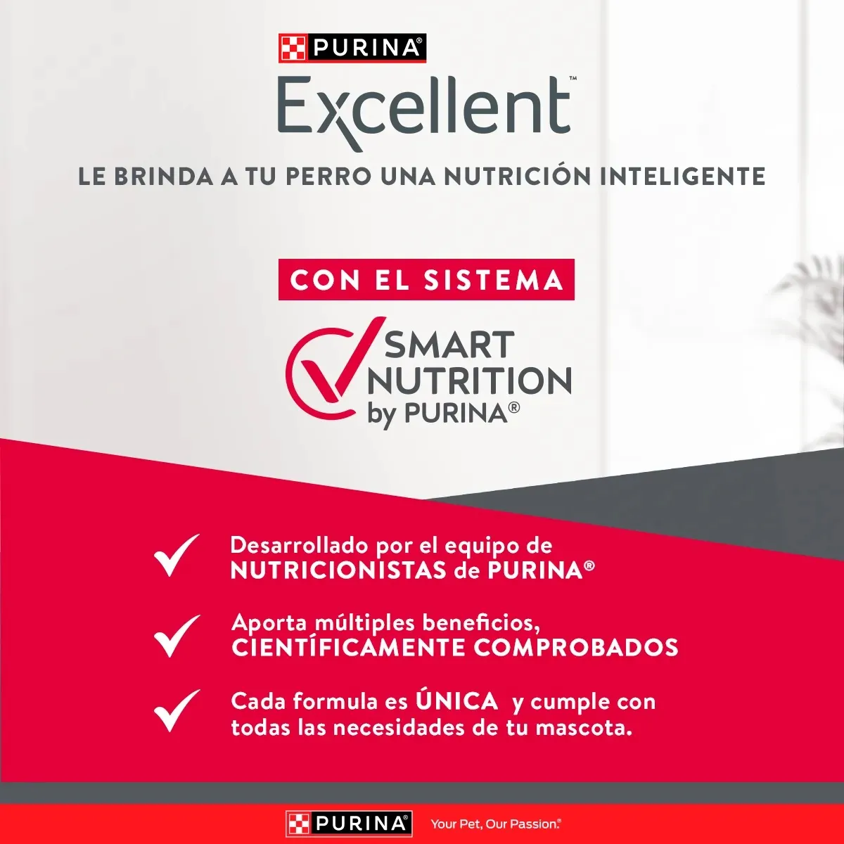 Alimento Purina Excellent Mantenimiento Adulto para Perros
