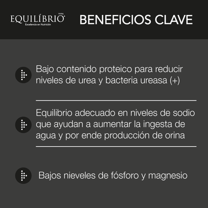 Alimento Equilibrio Veterinary UR Urinary Perro Adulto de Todas las Razas