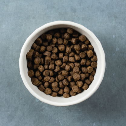 Alimento Evolve Classic Beef para Perro Adulto Sabor a Carne