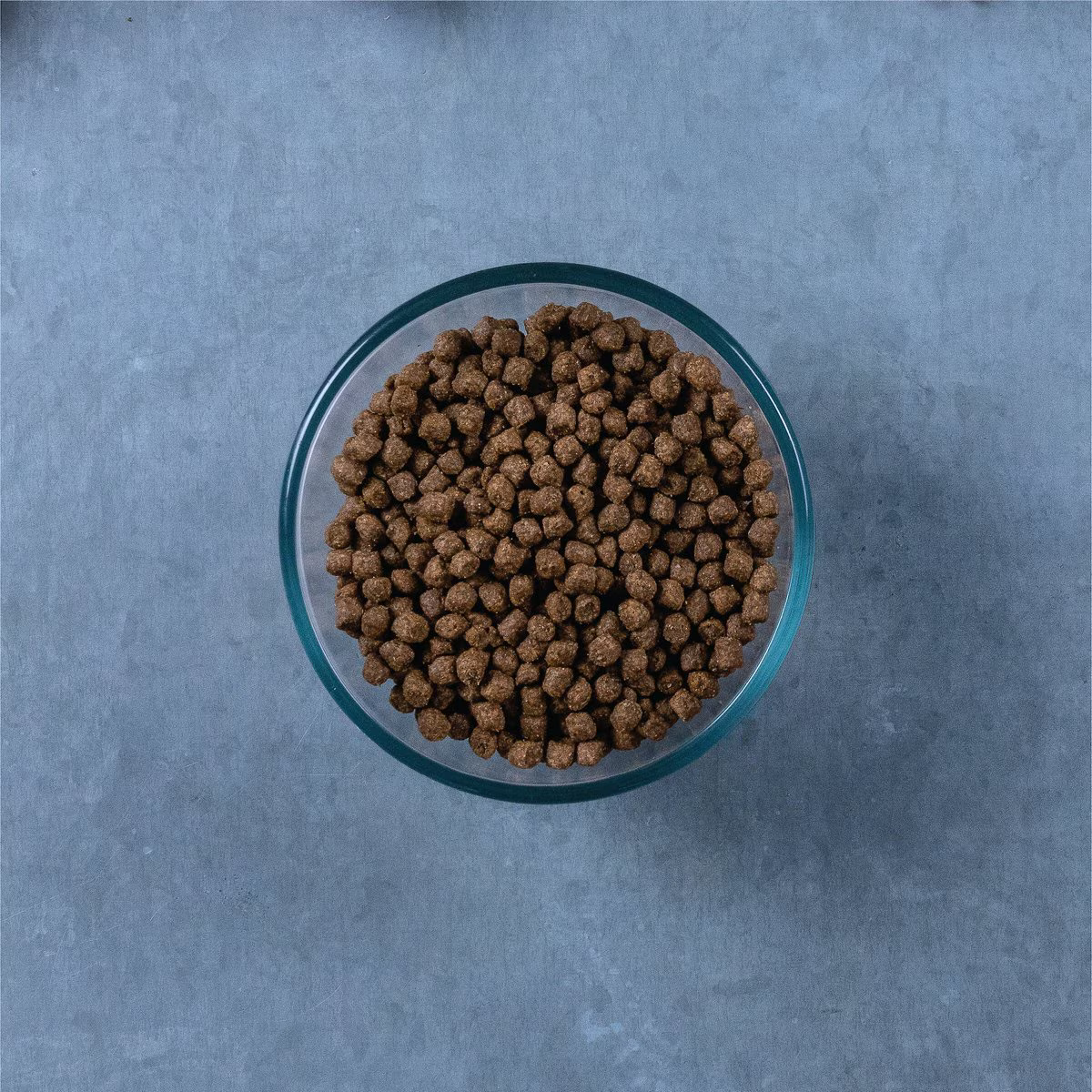 Alimento Evolve Classic para Gato Adulto Sabor a Pollo
