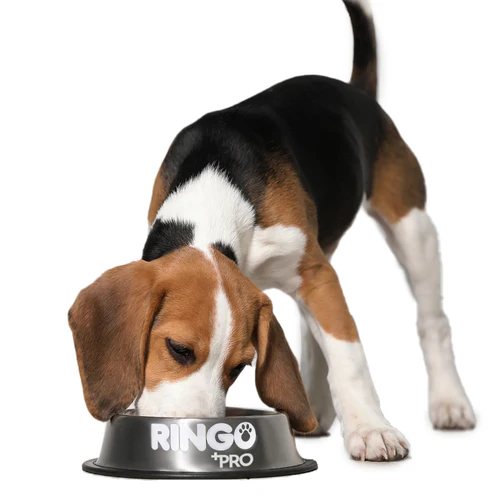 Alimento Ringo +Pro Puppy para Perro Cachorro de Todas las Razas