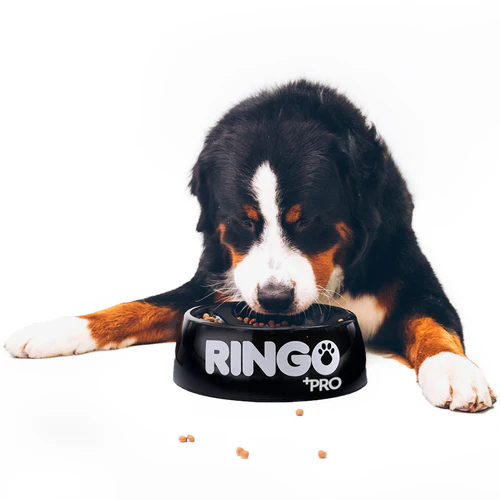 Alimento Ringo +Pro para Perro Adulto de Todas las Razas