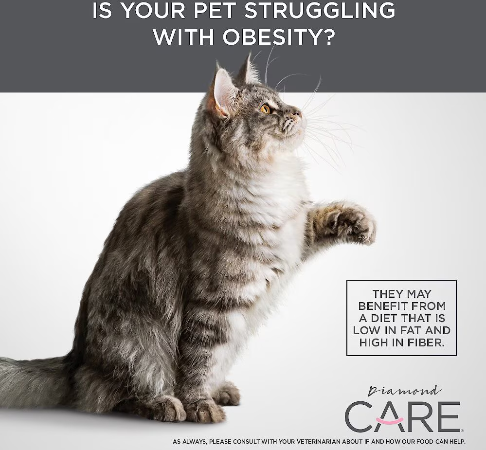 Alimento Diamond Care Weight Management para Gatos Adultos Control Peso