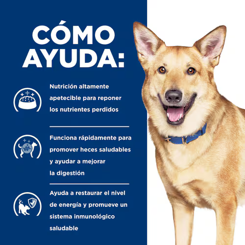 Alimento Hills I/D Digestive para Perro Adulto