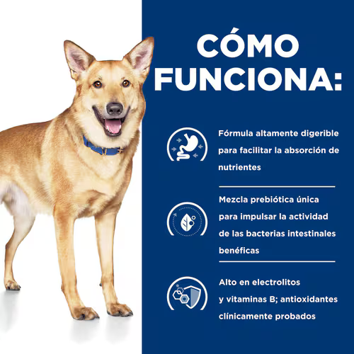 Alimento Hills I/D Digestive para Perro Adulto