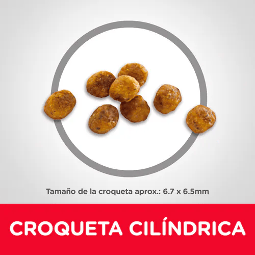 Alimento Hills Adult 7+ Para Gatos Adultos Mayores Senior