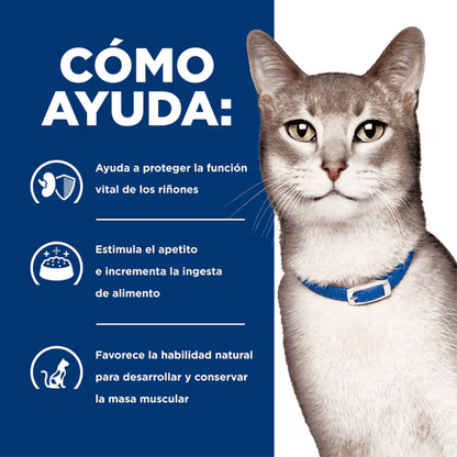 Alimento Hills KD Kidney Care para Gatos Adultos