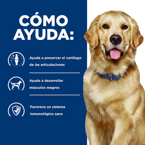 Alimento Hills JD Mobility Movilidad para Perro Adulto